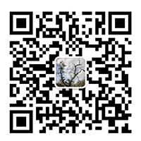 Oct Technology Limited